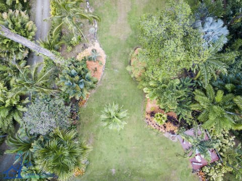Garden view from above