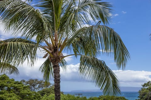 A stunning tropical backdrop frames the property's location, with lush palm trees swaying beneath bright blue skies and distant coastal views beyond.