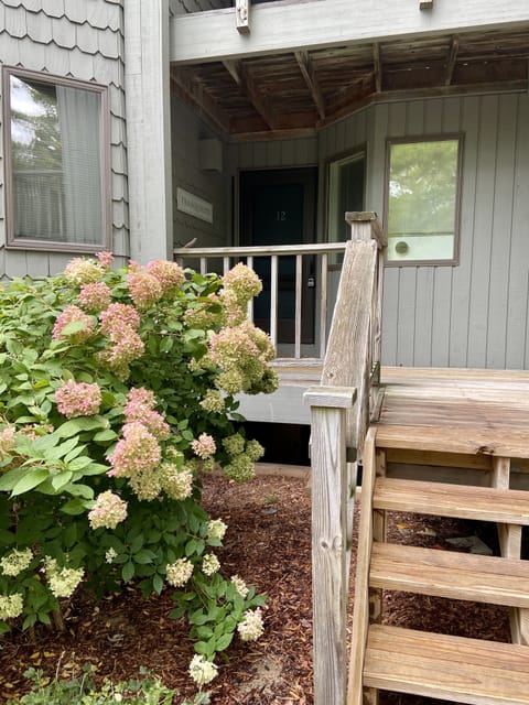 Entrance to condo, only five steps!