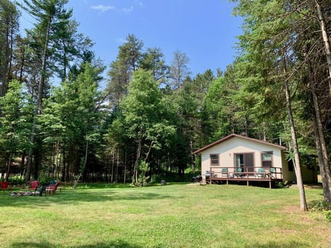 Lakefront Cabin #7 The Northern Pike House (395)