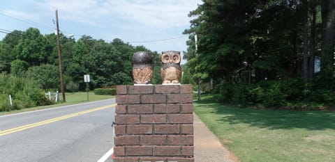 Welcome to the Owl House.  We really give a Hoot...