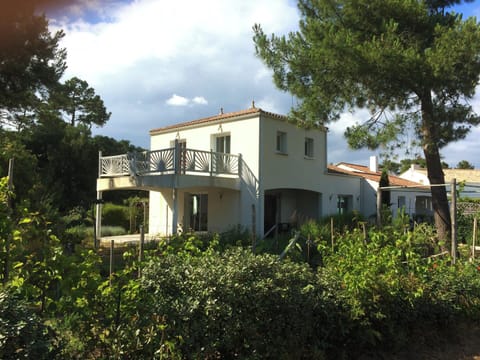 Front view