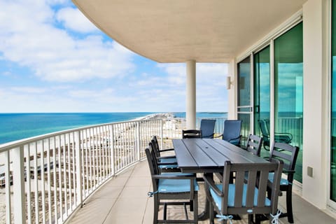Welcome to Dolphin View!