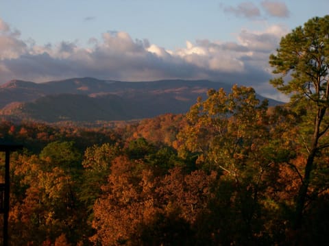 Changing of the leafs in September thru October