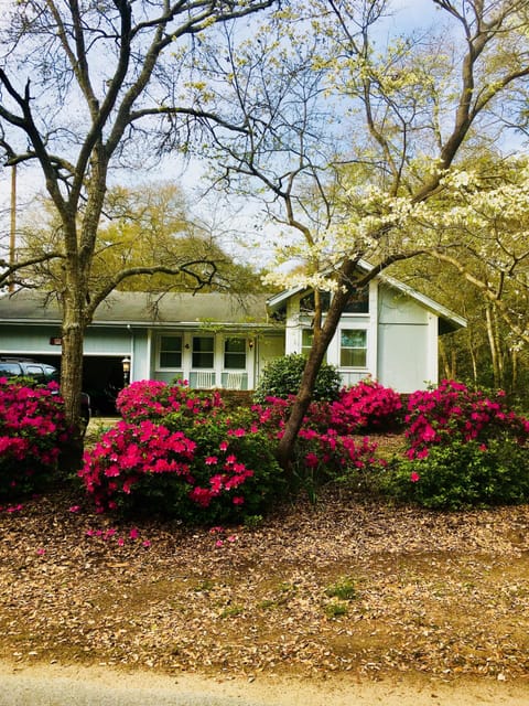 Springtime at Johns’s Crab Shack