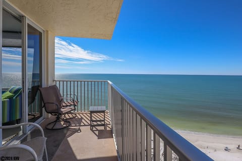 WOW! What a fabulous view of the Gulf
