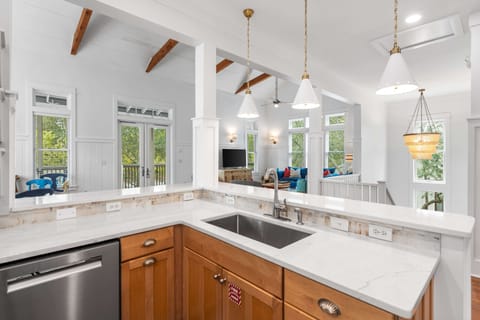 155 Dandelion Hi Res-21