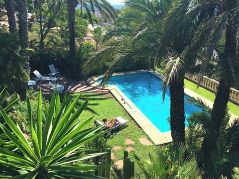 Swimming pool view
