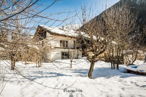 The garden in winter... a snowball battlefield and for snowman building contest 