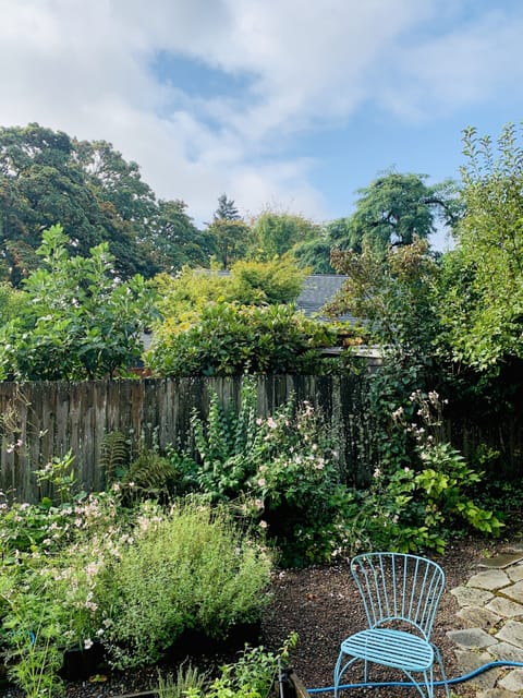 A forest-like setting creates privacy and a beautiful, peaceful setting 