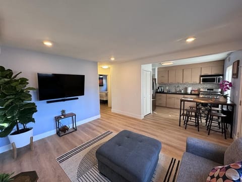 Living area and kitchen