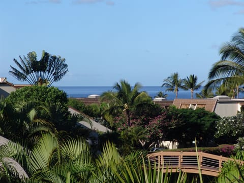 Ocean & Garden View from Large Spacious Lanai. All New A/C's & Major Appliances