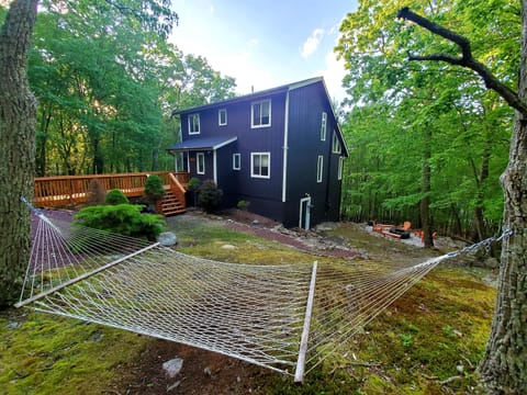 View from the front yard hammock