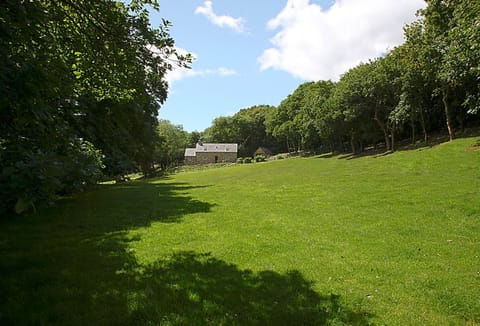 Tyddyn Derwen, nestled in woodland and overlooking a field