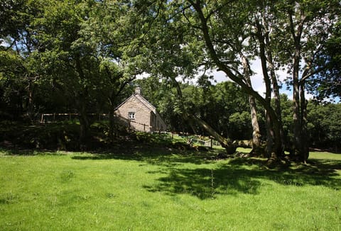 Tyddyn Derwen, nestled in woodland and overlooking a field