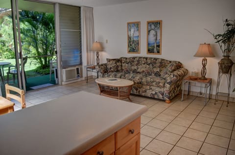 Living room facing a private lanai