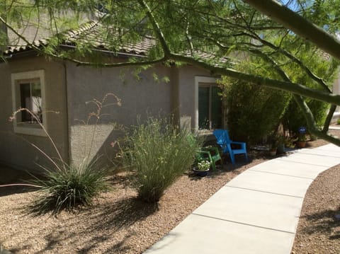 Birds eye view, wide variety of desert birds from the outdoor chairs