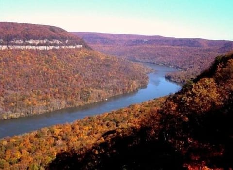 Beautiful Fall on the Tennessee River!