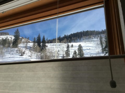 View from kitchen window ...experts ski down