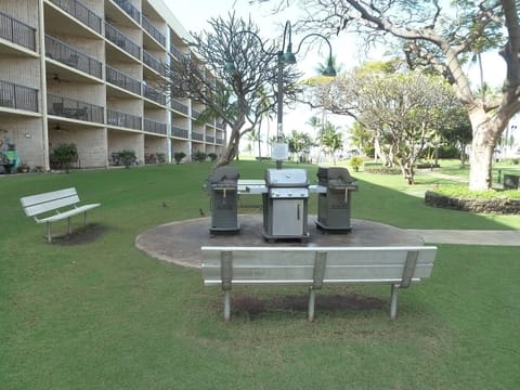 BBQ - BBQ area in garden area between complex buildings.