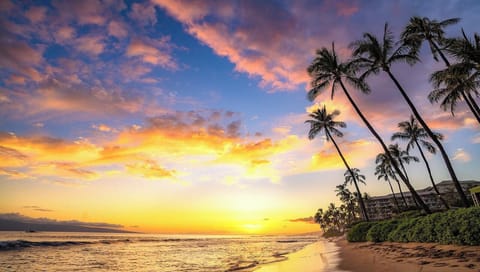 Golden Maui sunset casts a warm glow over swaying palms and tranquil waves along a peaceful island shoreline