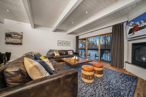 living Riverside C03 Telluride - Vivid Vacation Rentals Tellurid - living Riverside C03 Telluride - Vivid Vacation Rentals Telluride