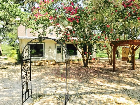 Back entrance to the home