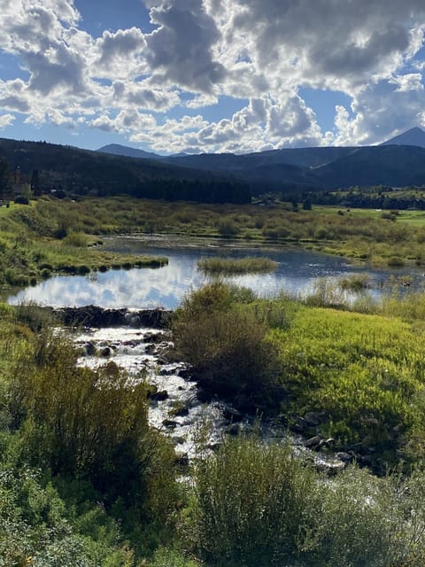 View of the wetlands off of the deck.