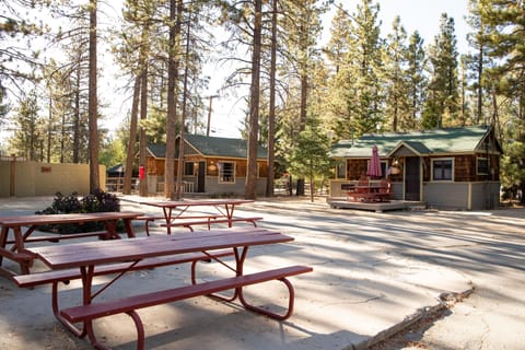 Enjoy the day with your family or friends at the picnic area that is near the lake, surrounded by beautiful tall pine trees.