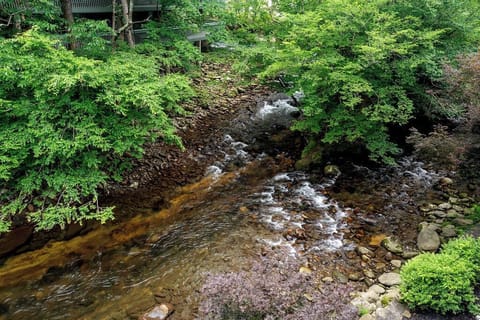 Relax to the sound of the river