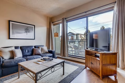 The comfortable living room with a couch and love seat.