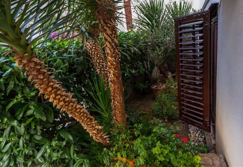 Small garden in front of the window