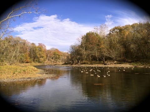View from our dock.  We are located on 8 beautifully landscaped acres.