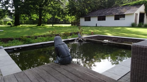 Our mermaid watching