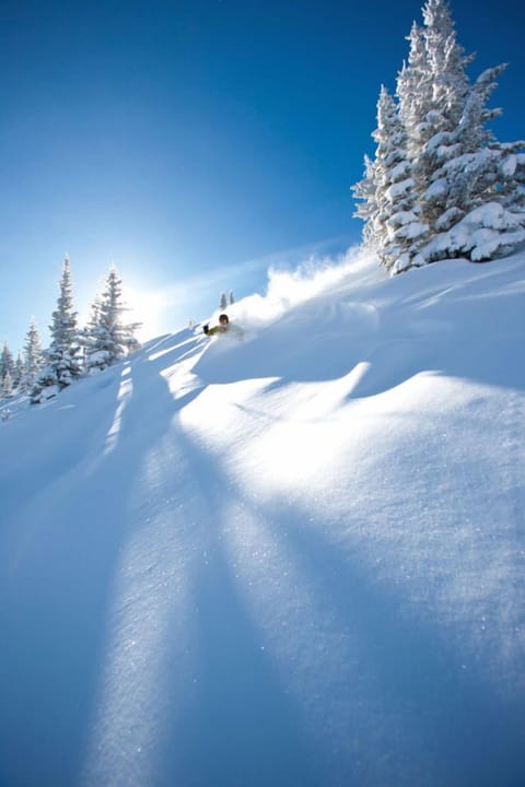First tracks, fresh powder in China Bowl
