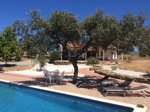 View from pool