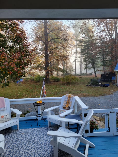 Morning mist 2021