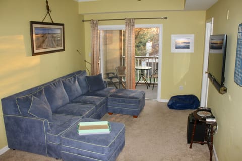 pullout queen bed, private screened in porch through sliding glass doors