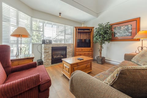 Living Area with TV and Fireplace