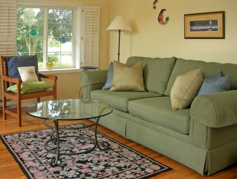 Living room has a pullout sofa that becomes a double bed