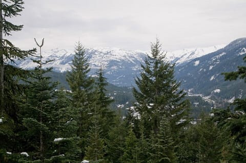 The Townhome is Located on the Side of Creekside Mountain for Easy Ski in/out Access and the Best View in Whistler.
