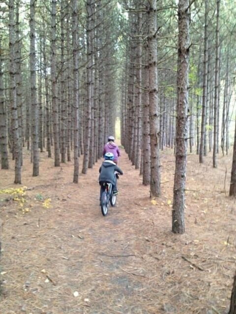 Bicycler's Dream 