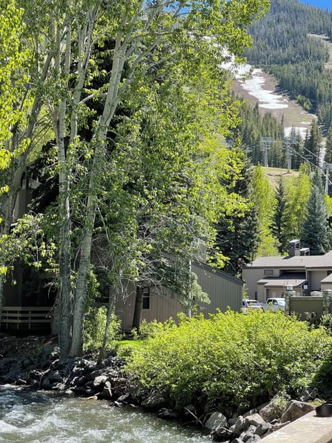 Deck view of the creek and the new 6 person lift (on the right side of photo).