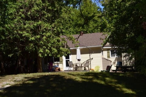 Large treed back yard