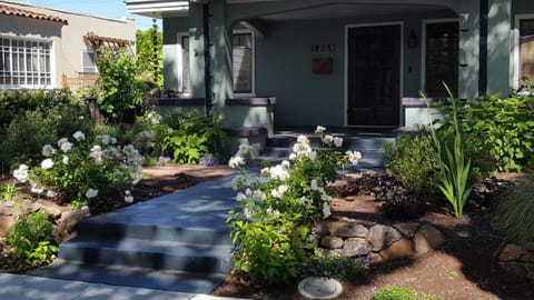 Beautiful maintenance free yard