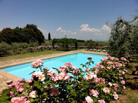 villa de Sernigi swimming pool