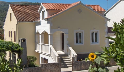 north side of the house