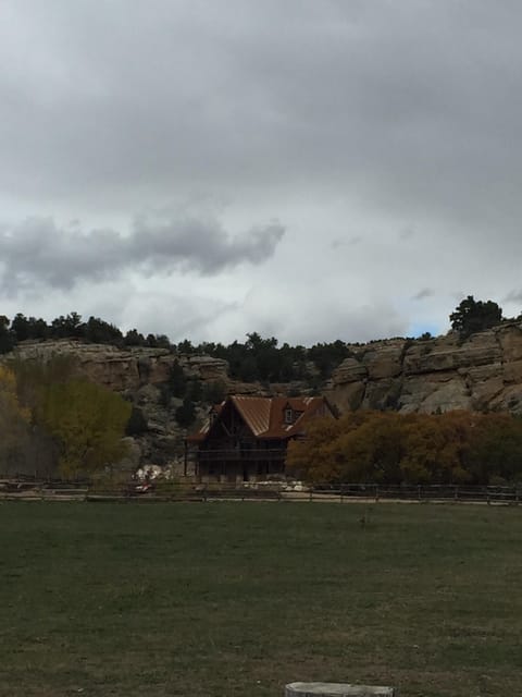 View from the main driveway 