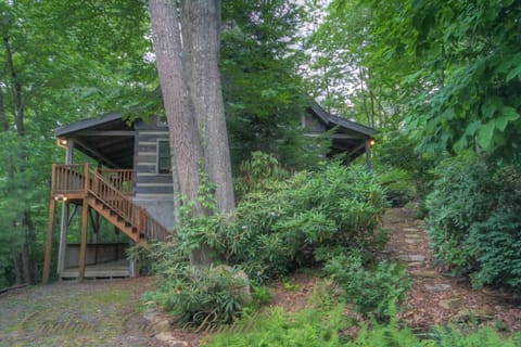 Martins Nest Looking at cabin from driveway