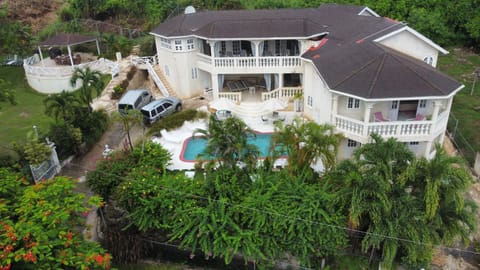 A bird's eye view